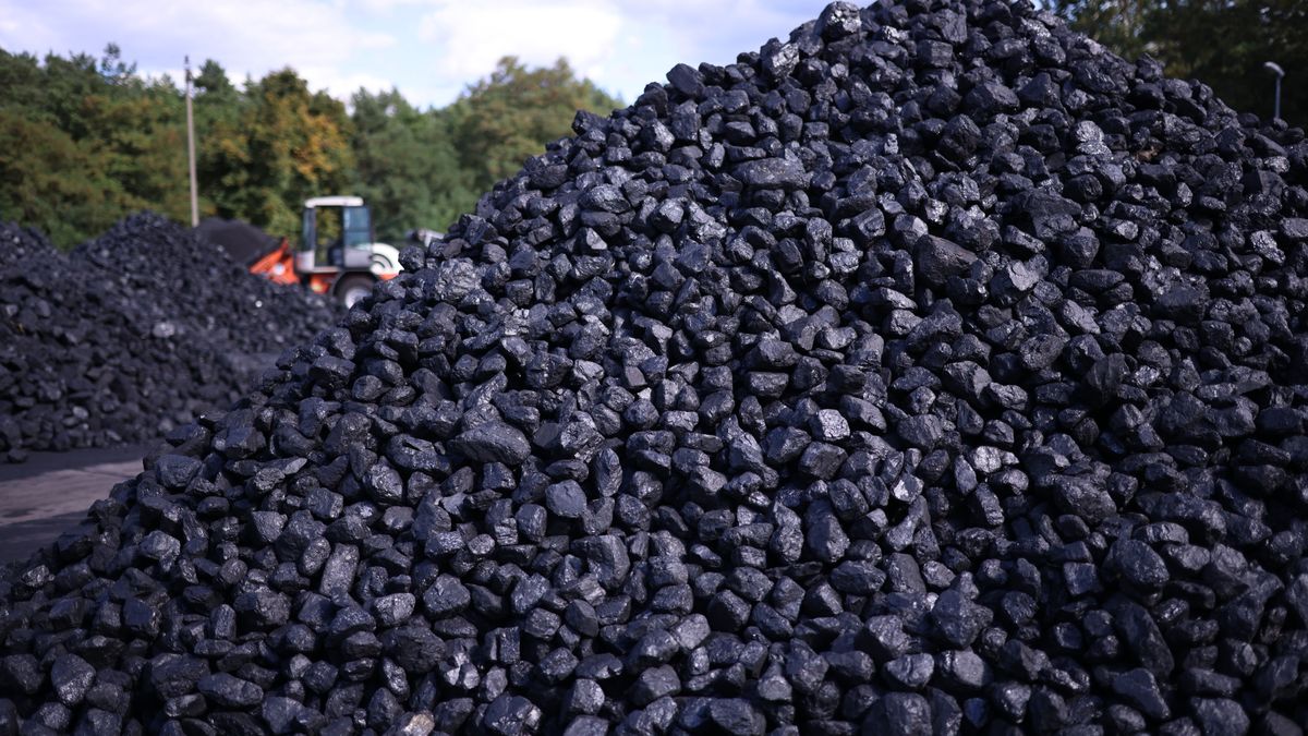 Na zdjęciu hałda węgla w składzie