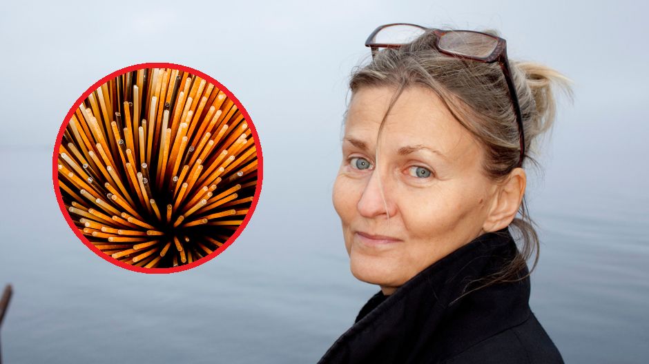 W diecie mieszkańców Szwecji dominują produkty pełnoziarniste