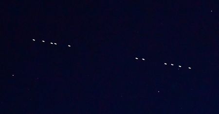 Starlink nad Polską. Kosmiczny pociąg SpaceX będzie można zobaczyć przez najbliższe noce