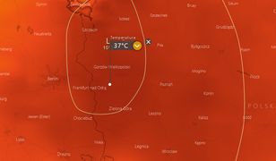 Pogoda. Upalne powietrze wleje się do Polski. Na zachodzie prawie 40 stopni!