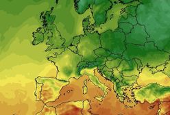 Pogoda. Gdzie wybrać się na weekendowy wypoczynek? Najnowsze prognozy