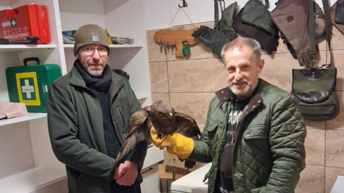 Niezwykła akcja ratunkowa