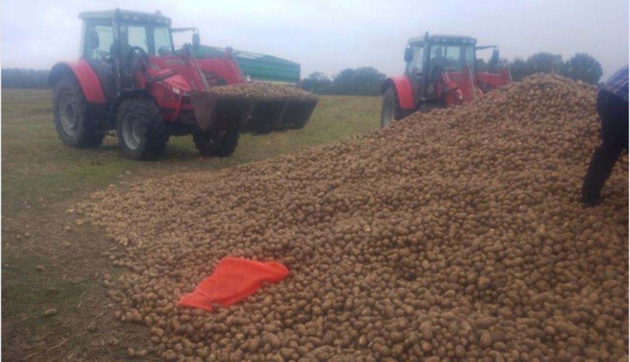 Zabrali 150 ton ziemniaków. Właściciel w szoku. "To był mój towar"