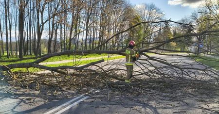 Lubelszczyzna walczy ze skutkami wichury. Brak prądu, zerwane dachy, połamane drzewa, są ranni [ZDJĘCIA]