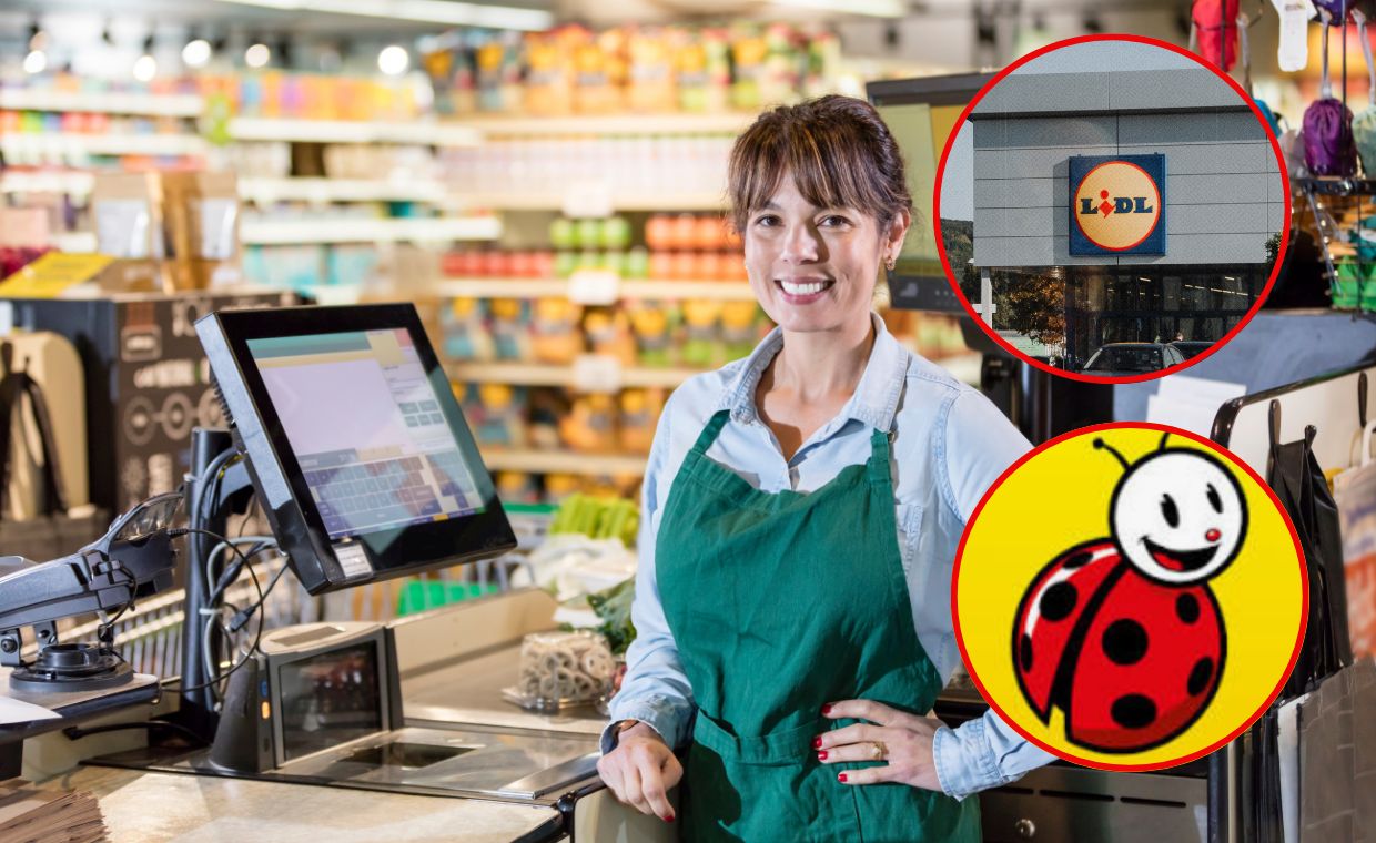 Które dyskonty oferują najlepsze warunki pracy?