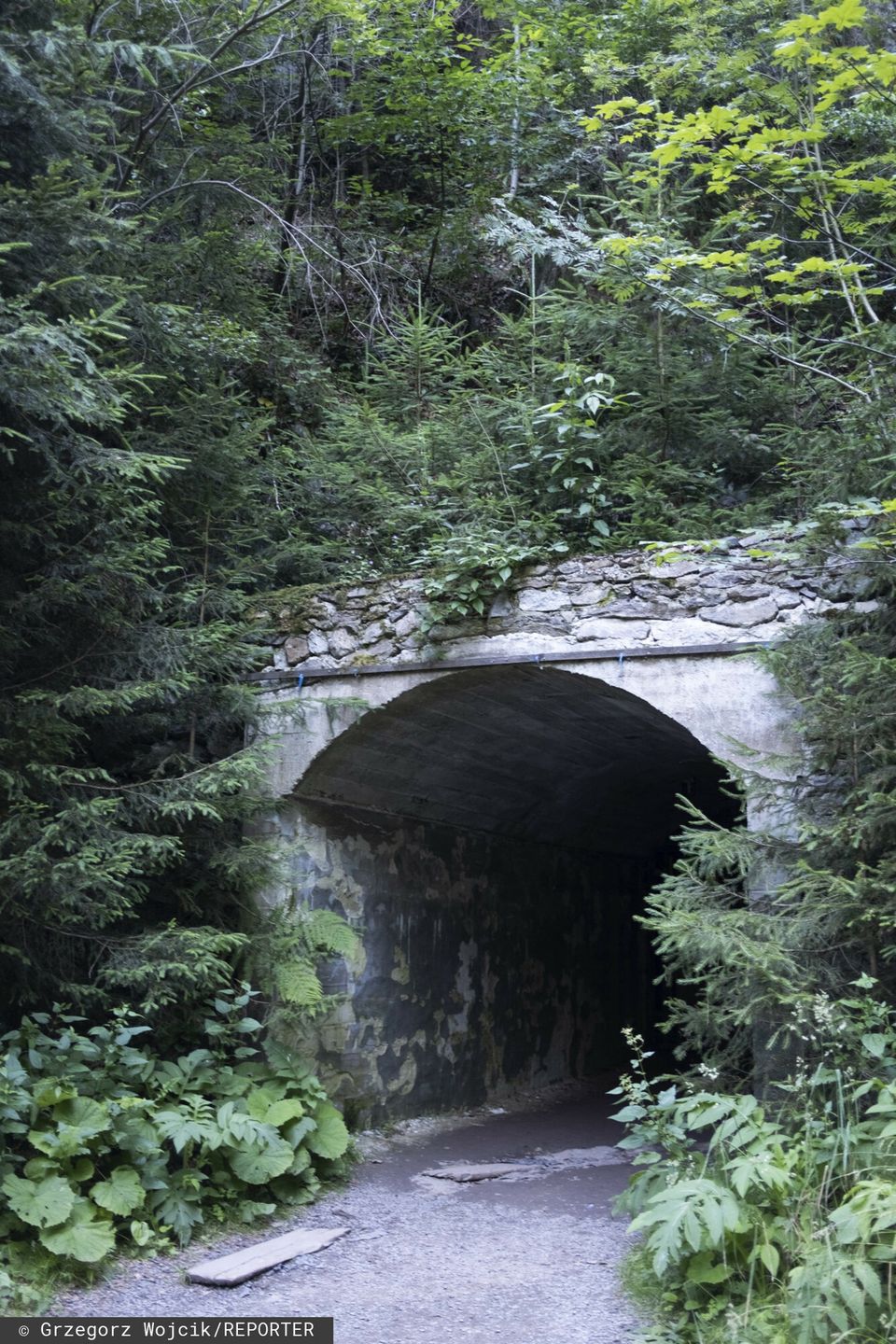 Osówka