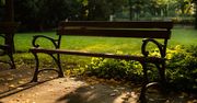 Szczecin: Wandale zniszczyli nowy Ekopark. Miasto zapowiada naprawę