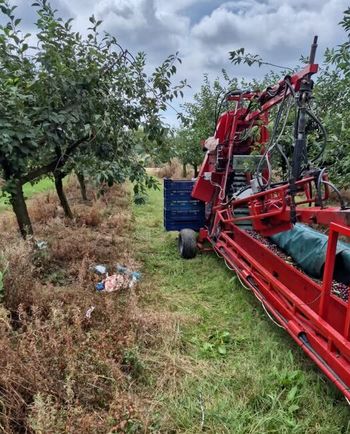 Lipsko: 10-latek potrącony przez kombajn w sadzie
