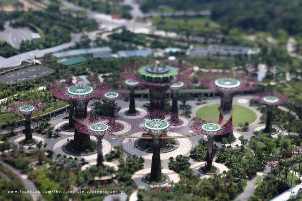 Obiektyw tilt-shift do miniatur za 100 zł, czyli fotograficzny recykling 5