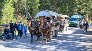 Zakopane: Koniec uciążliwego remontu szlaku do Morskiego Oka. Na szlak wróciły konie i elektryczne busy