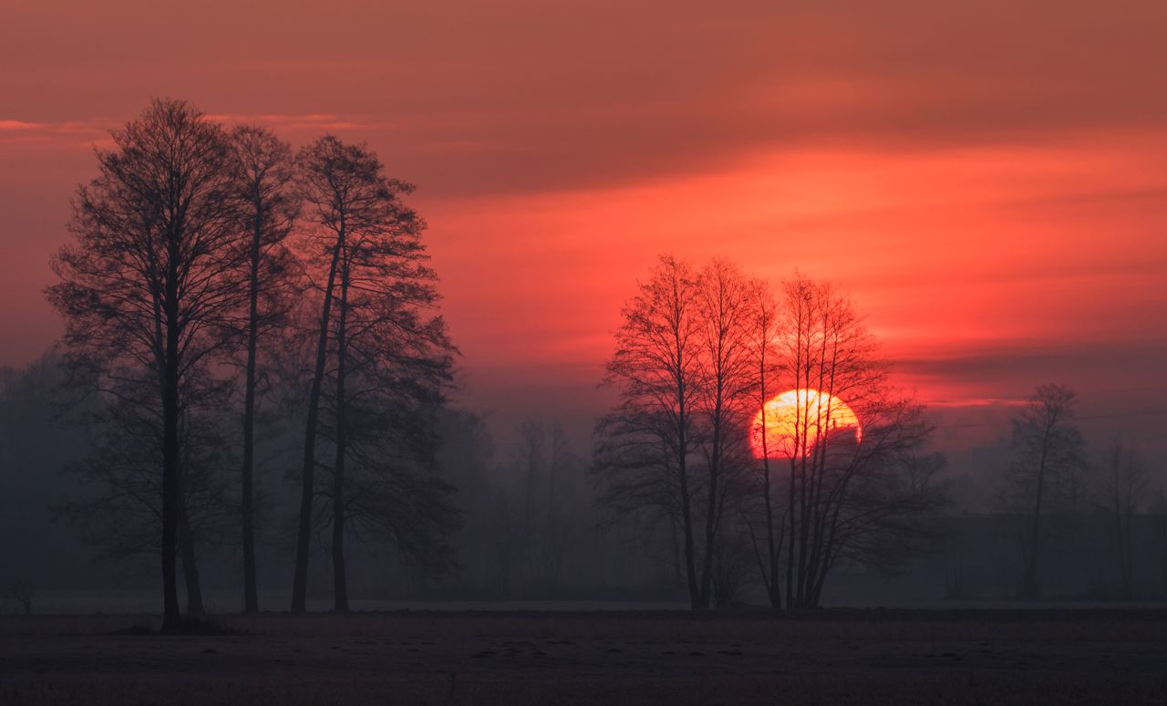 Jak widać, nie trzeba wyruszać w kilkudniowe podróże, aby uchwycić piękne sceny. Czasem wystarczy przejechać kilka kilometrów za miasto, chwycić za aparat i sfotografować coś, co uda nam się spotkać.