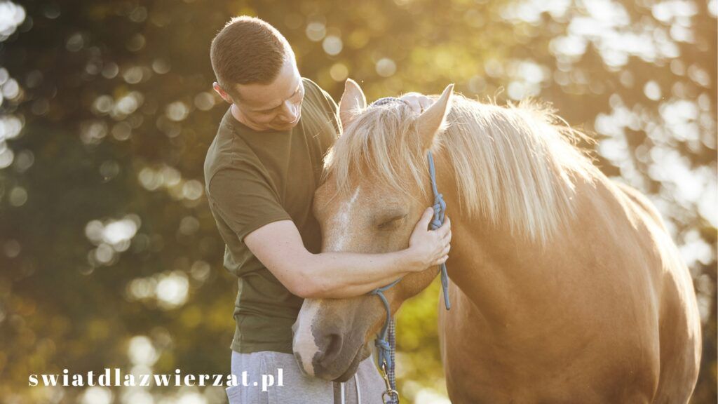hipoterapeuta w Polsce