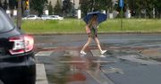 Zagrzmi i popada na Dolnym Śląsku. IMGW ostrzega przed burzami