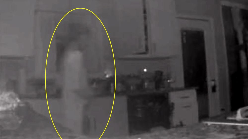 Monitoring wysłał zdjęcie intruza w kuchni. Okazało się, że to jej zmarły syn 1