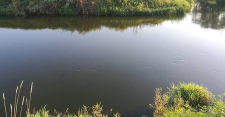 Krzesimów: Ciało noworodka pływało w rzece. Zauważył je jeden z okolicznych mieszkańców