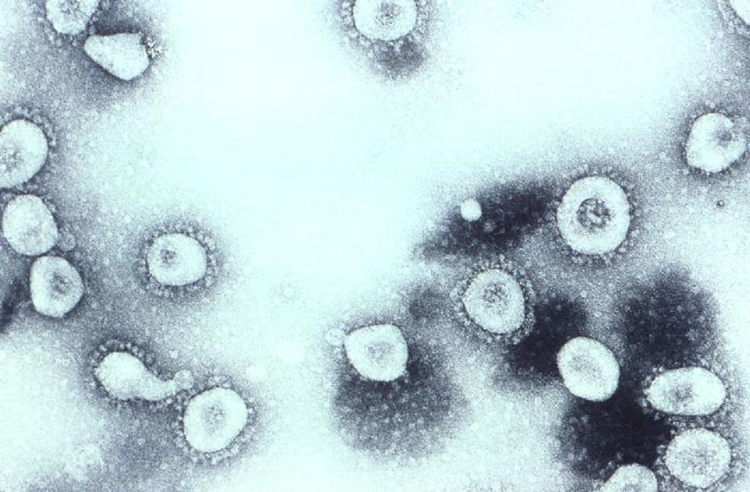 Koronawirus jak przeziębienie? Eksperci ostrzegają: to niedobra wiadomość
