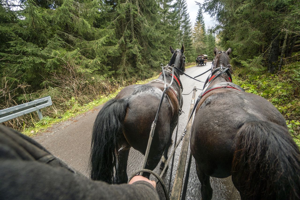 Morskie Oko