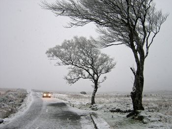 Meteorolodzy ostrzegają: Wir polarny osłabł i przemieszcza się w kierunku Europy