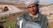 Syria: na biblijnym szlaku
