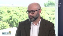 Dyrektor z TVP krytykuje szefową rady programowej. "Publicystyczna fantazja"