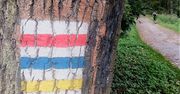 Kolory i oznaczenia szlaków turystycznych