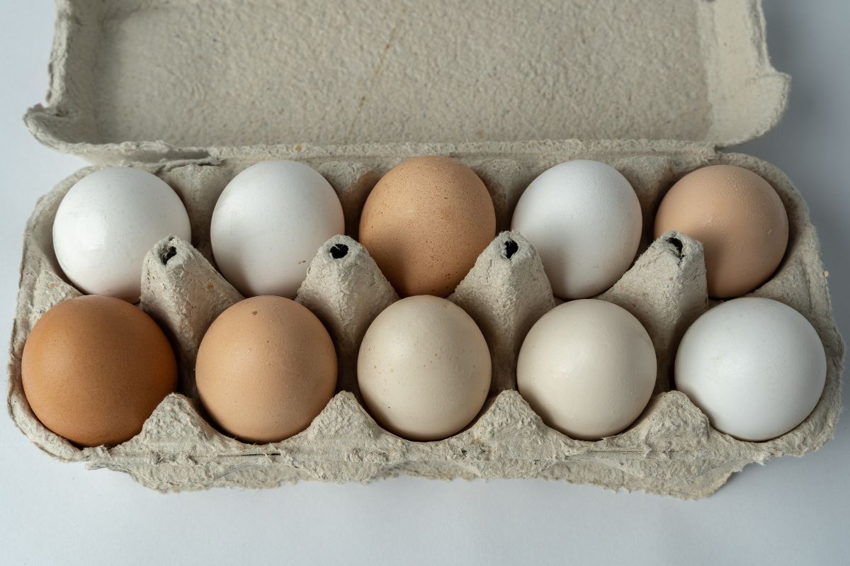 Jedzenie jajek po terminie to proszenie się o kłopoty? Zrób prosty test