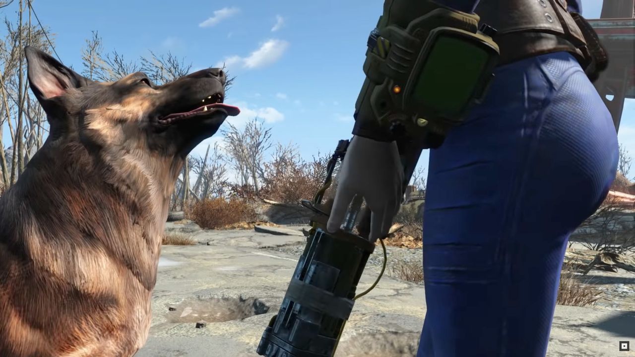 Dogmeat to psie towarzysz gracza w Falloucie 4.