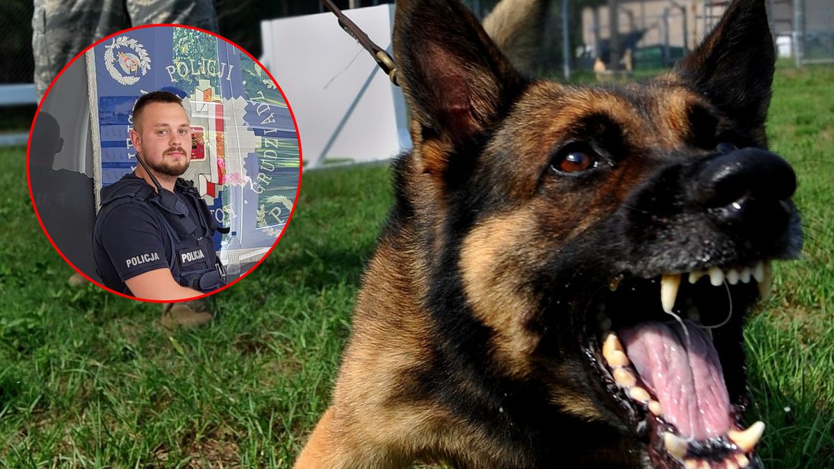 Policjant z Grudziądza uratował chłopca przed agresywnymi psami