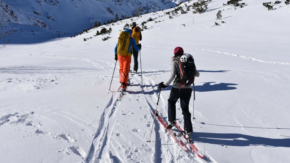 Tatry po zej?ciu lawin
PHOTO: ALBIN MARCINIAK / EAST NEWS  12.02.2023 Tatry, narciarze, skiturowcy w Dolinie Pieciu Stawow Polskich, zagrozenie lawinowe, zima, snieg, pogoda, otwarcie Tatr
Albin Marciniak