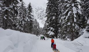 Ferie 2024. Kiedy zimowe wakacje? Pełen harmonogram dla uczniów i rodziców
