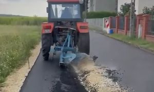 Zaorał asfalt w Gliwicach. Weterynarz przyjechał na posesję rolnika zbadać psa