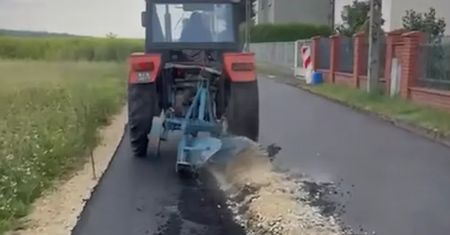 Zaorał asfalt w Gliwicach. Weterynarz przyjechał na posesję rolnika zbadać psa