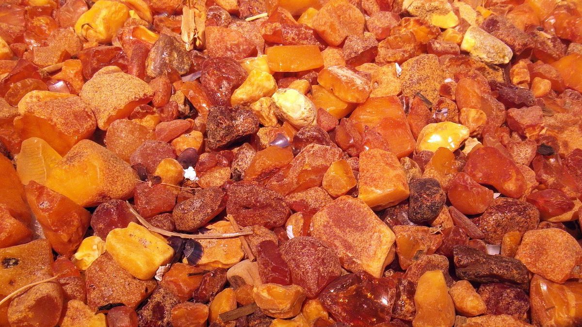 Ukraińscy maszyniści próbujący przemycić około 30 kg nieoszlifowanych brył bursztynu o wartości ok. 100 tys. zł. zostali zatrzymani przez funkcjonariuszy Bieszczadzkiego Oddziału Straży Granicznej oraz Podkarpackiego Urzędu Celno-Skarbowego z Przemyśla