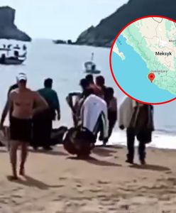 Atak rekina w Meksyku. "Odgryzł jej kawałek nogi"