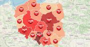 Koronawirus w Polsce. Ekspert ostrzega: wciąż pojawiają się nowe ogniska epidemii [Mapa zakażeń]
