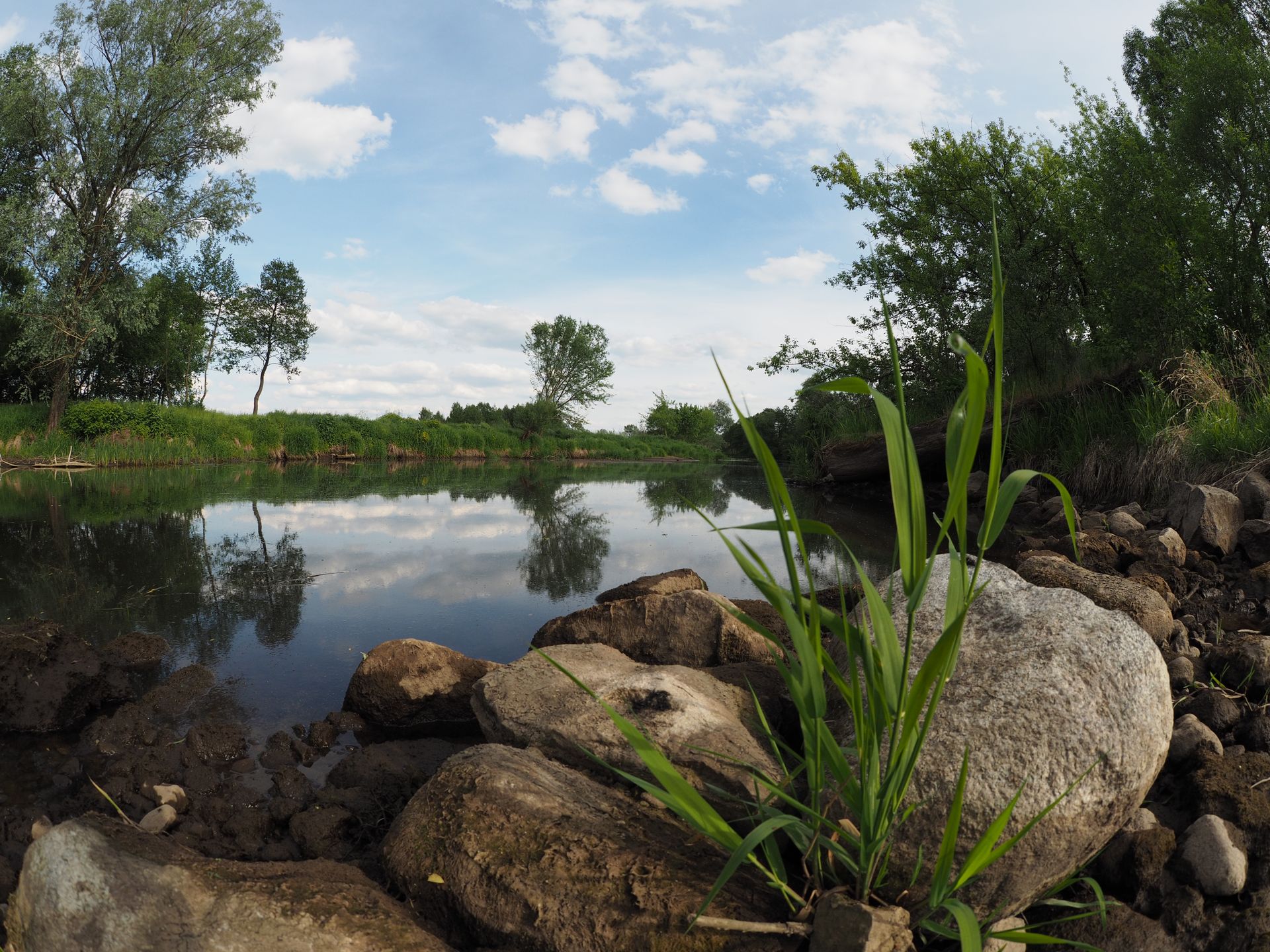 Co to jest obiektyw fisheye (rybie oko)? 20