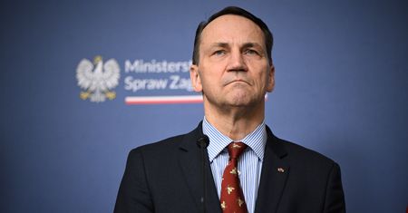 "Prawdziwi studenci na prawdziwe studia". Sikorski o aferze wizowej