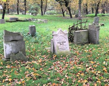 Strzyżewice: Zapomniany cmentarz. Od dawna nie grzebie się tam zmarłych