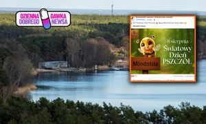 Niesamowite Lubuskie. Tworzą wyjątkową grupę. "Coś więcej"