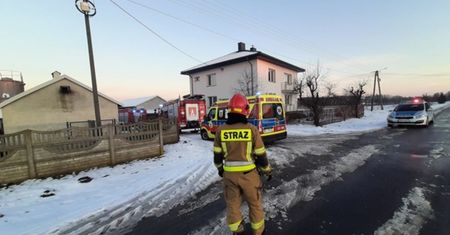 Pies zagryzł ośmiolatka. Dramat w Łódzkiem