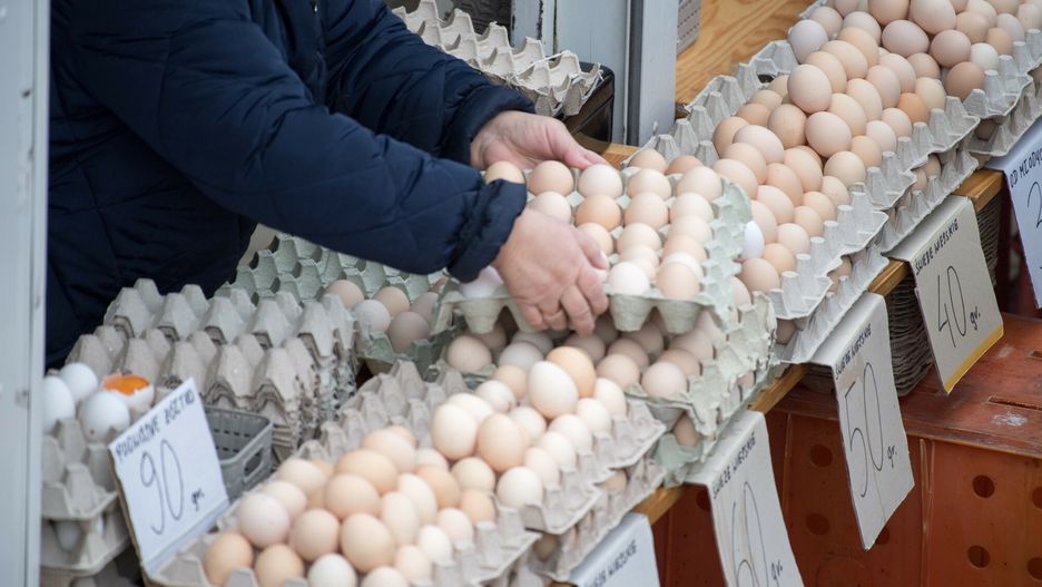 Ministerstwo rolnictwa planuje wprowadzić zakaz klatkowej produkcji jaj