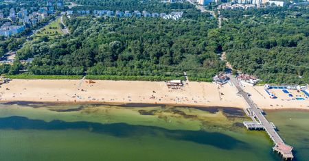Sąd wstrzymuje plan dla pasa nadmorskiego w Brzeźnie. "Standardowa procedura"