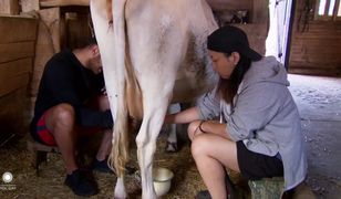 "Farma" Polsatu. Bez prądu, bez ciepłej wody. Można już się zgłaszać