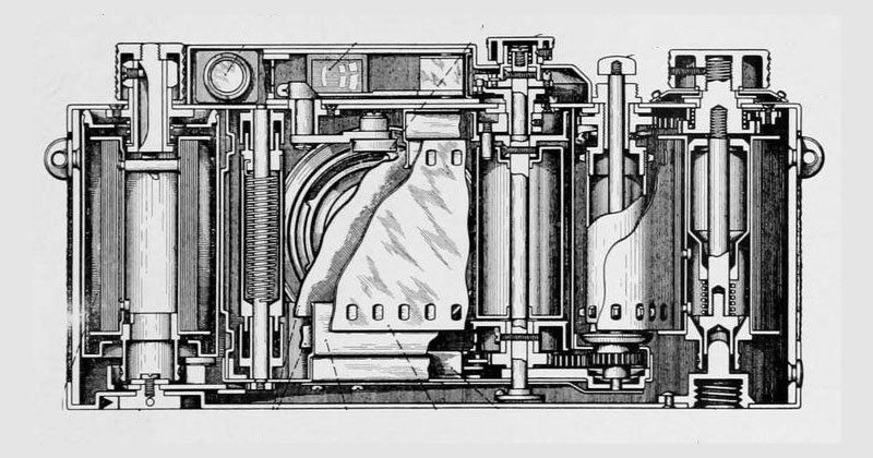 Tak wyglądała anatomia Leiki w 1939 roku