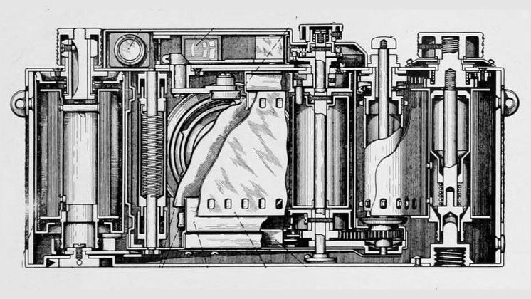 Tak wyglądała anatomia Leiki w 1939 roku 1