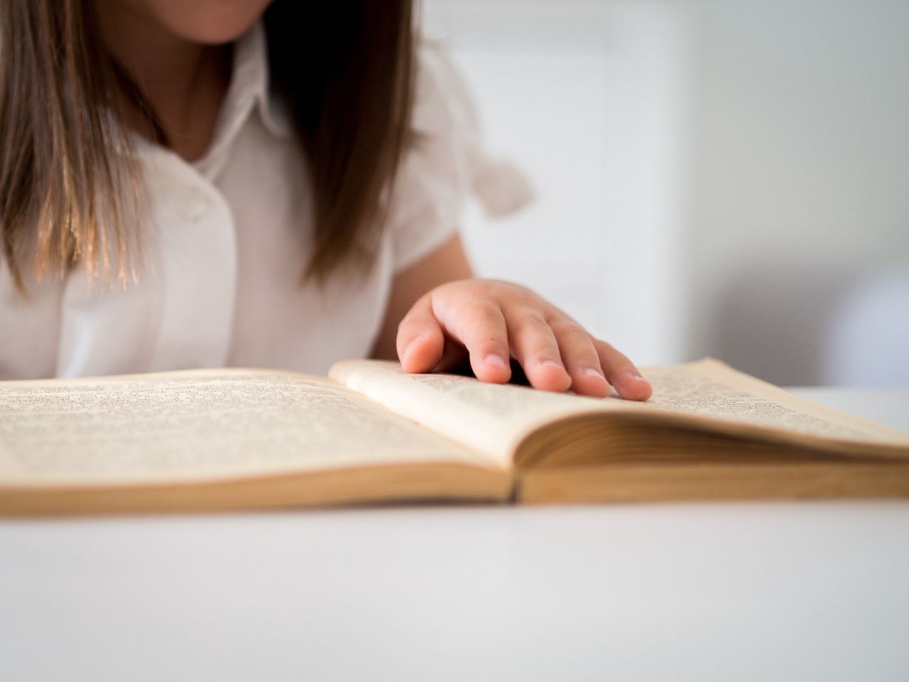 Gołuchów: "Nietoperzowe czytanie" w Ośrodku Kultury Leśnej