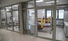 Przypadek cholery w Polsce? Szef GIS potwierdza, lekarze mówią o bakterii