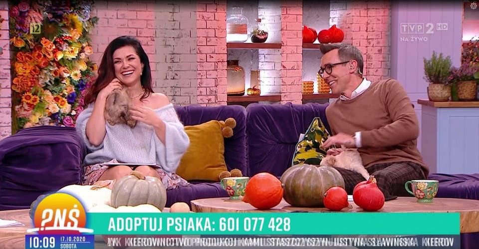 Katarzyna Cichopek została obsikana przez pieska w śniadaniówce