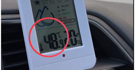 Jak szybko rośnie temperatura w samochodzie? Kilka chwil może kosztować życie