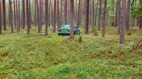 Nie podjeżdżaj w lesie "pod same grzyby" 